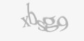 Beveiligingscode