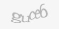 Beveiligingscode