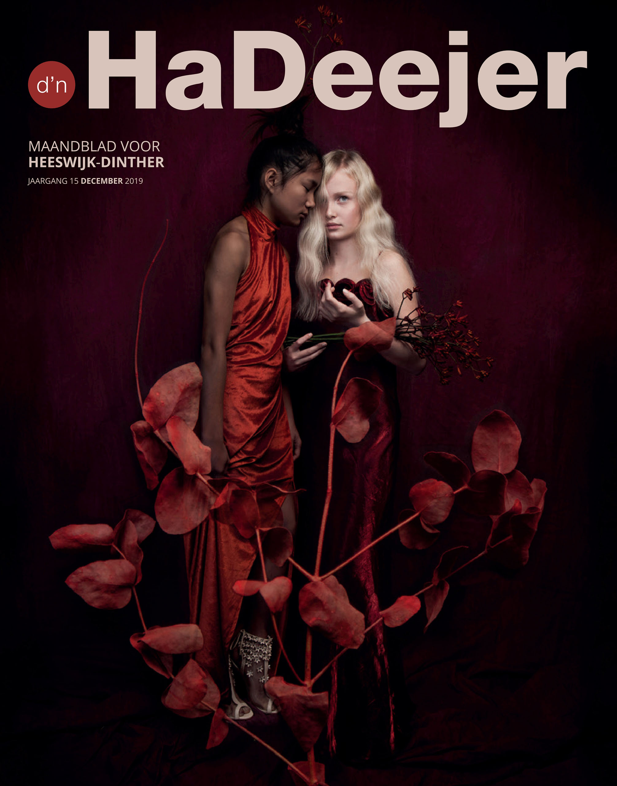 d'n HaDeejer december 2019