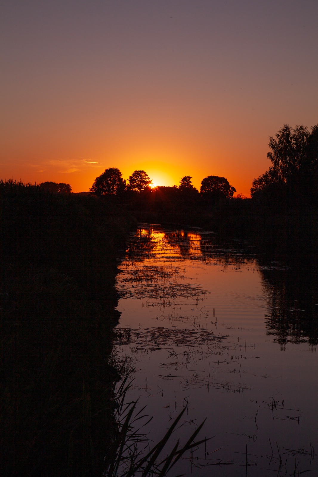 Zonsverduistering in HaDee